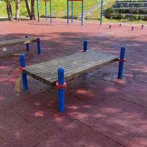 Купить Помост для выполнения испытания "Сгибание-разгибание рук в упоре лежа на полу" в Нефтекамске 